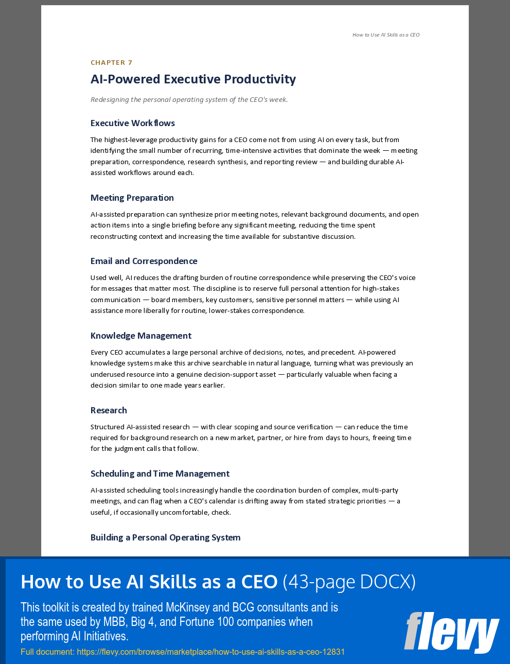 How to Use AI Skills as a CEO (43-page Word document) Preview Image