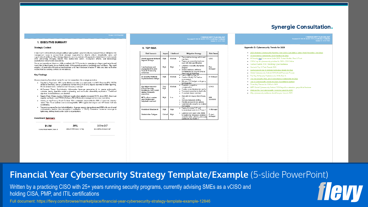 Financial Year Cybersecurity Strategy Template/Example (5-slide PPT PowerPoint presentation template (PPTX)) Preview Image