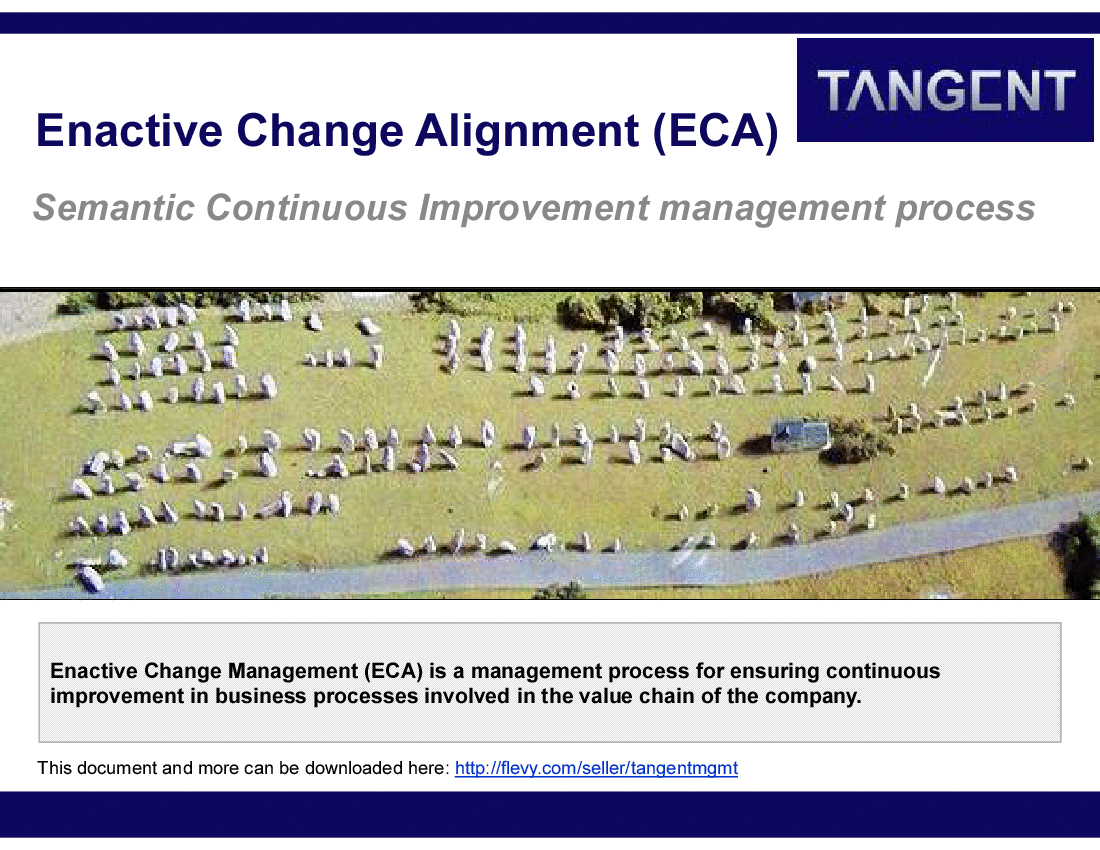 Enactive Change Alignment (ECA) Process