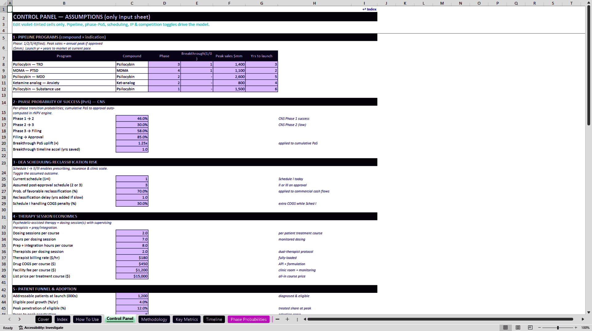 Psychedelic Medicine rNPV and Commercial Model (Excel template (XLSX)) Preview Image