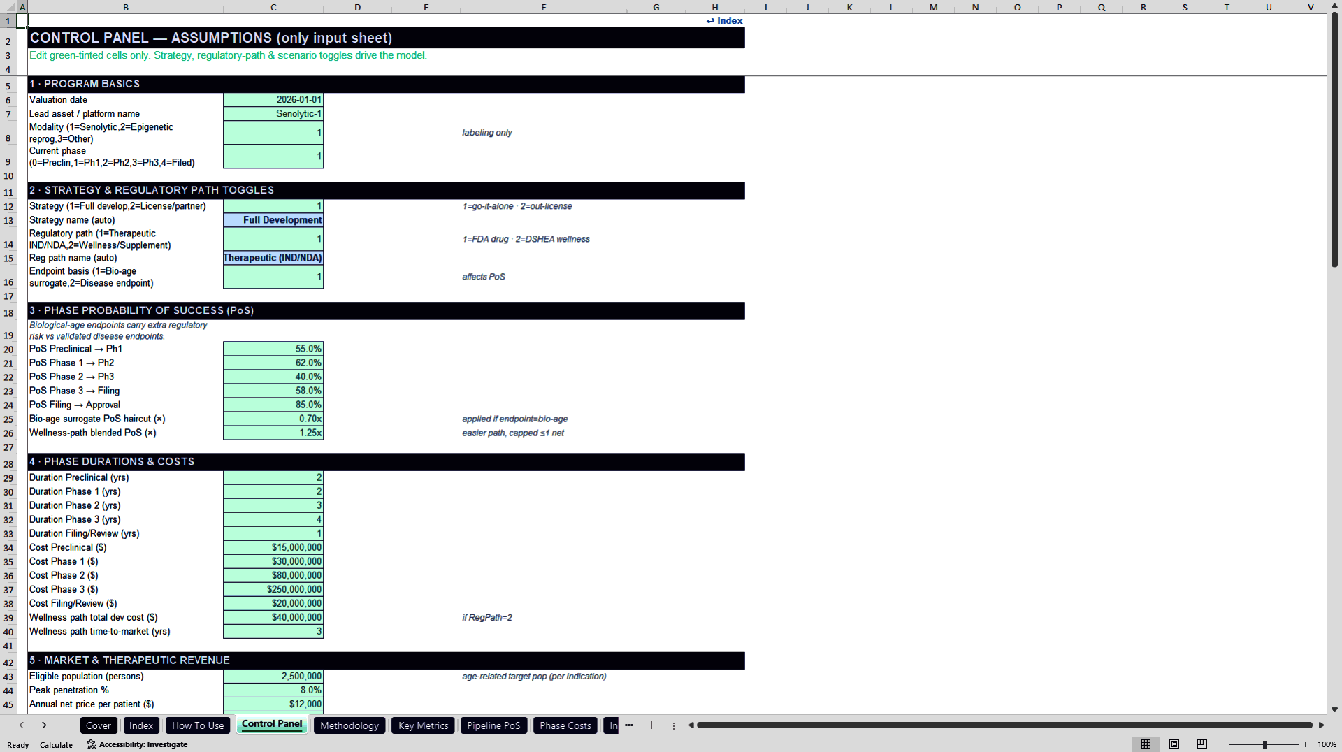 Longevity Biotech rNPV Valuation Model (Excel template (XLSX)) Preview Image