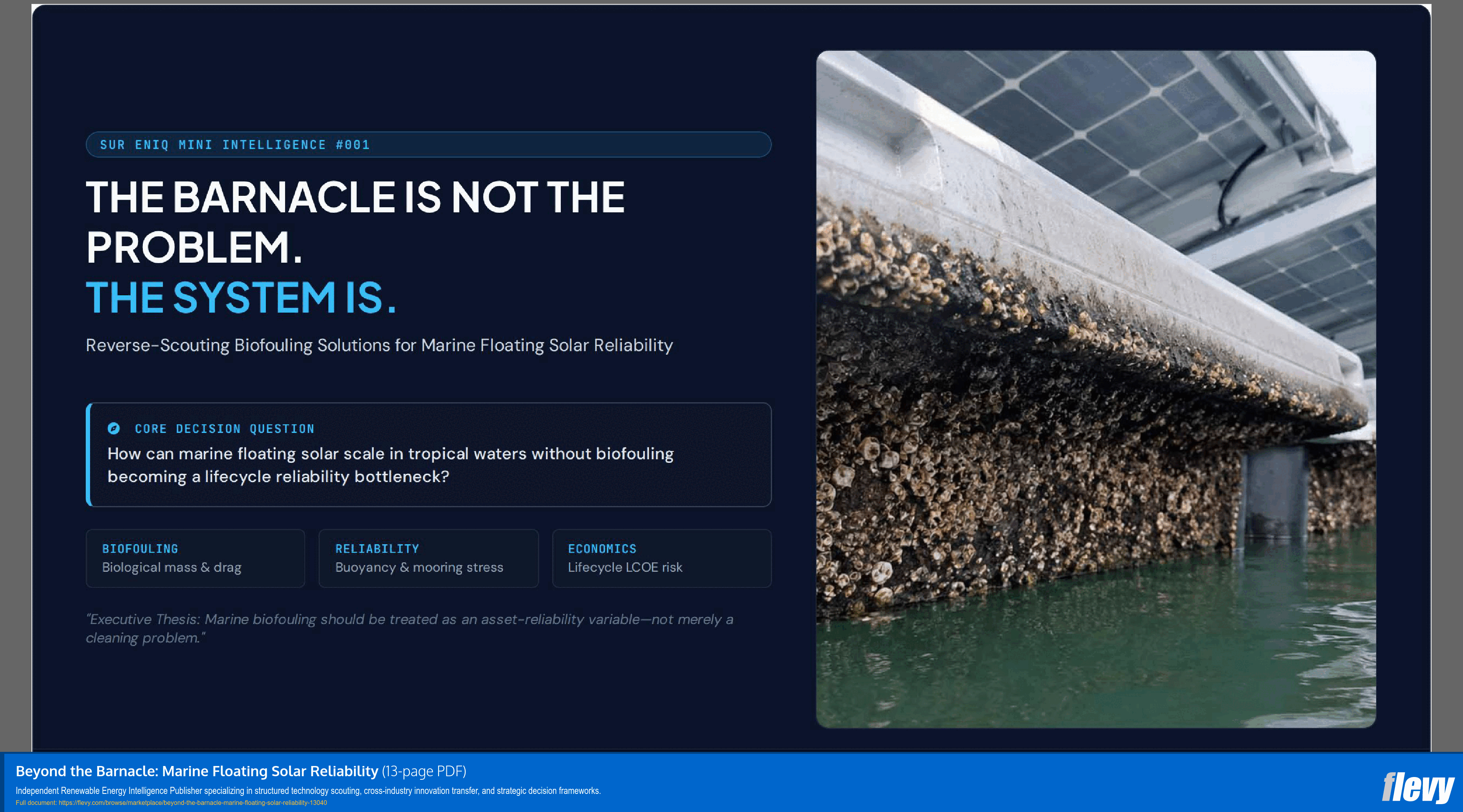 Beyond the Barnacle: Marine Floating Solar Reliability (13-page PDF document) Preview Image