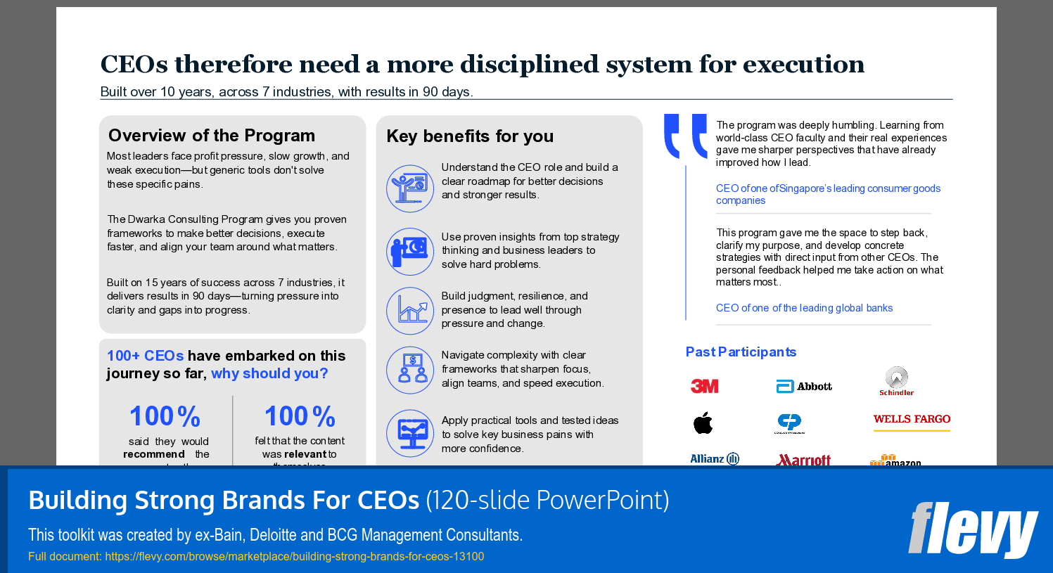 Building Strong Brands For CEOs (120-slide PPT PowerPoint presentation template (PPTX)) Preview Image