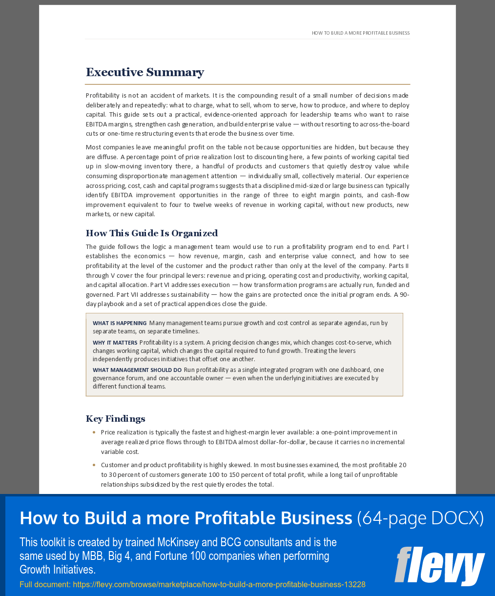 How to Build a more Profitable Business (64-page Word document) Preview Image