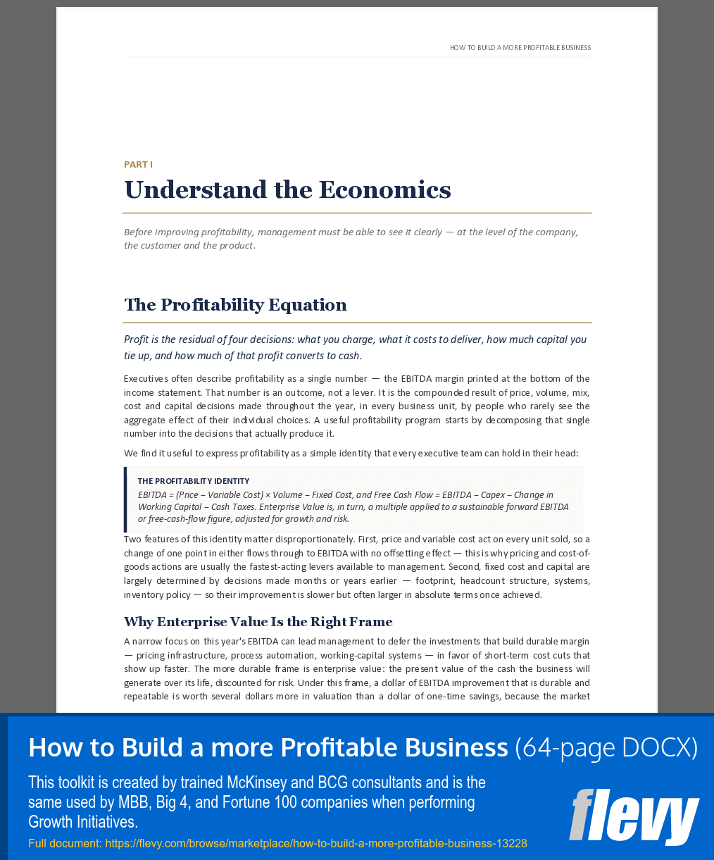 How to Build a more Profitable Business (64-page Word document) Preview Image