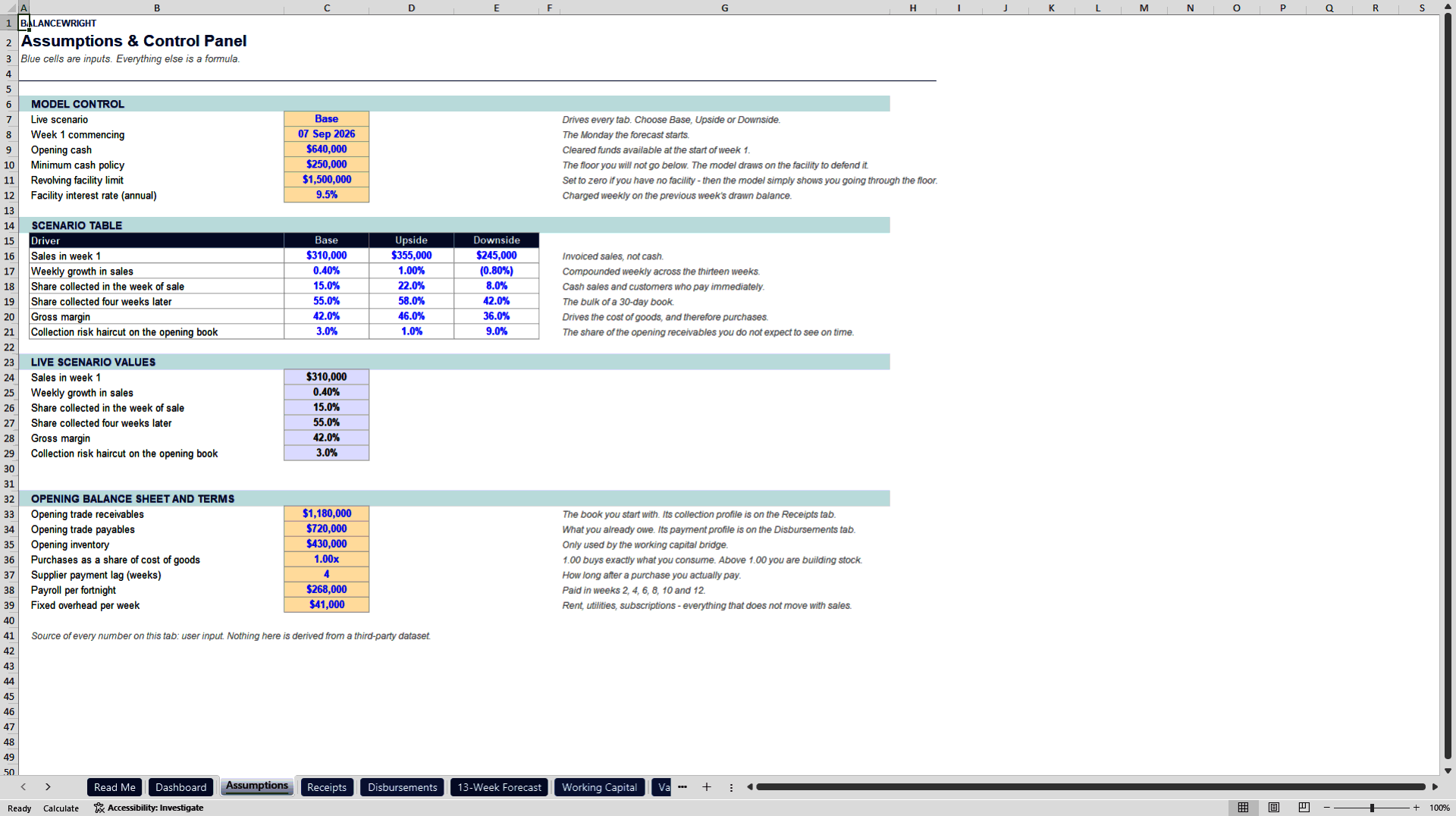 13-Week Cash Flow Forecast & Working Capital Bridge (Excel template (XLSX)) Preview Image
