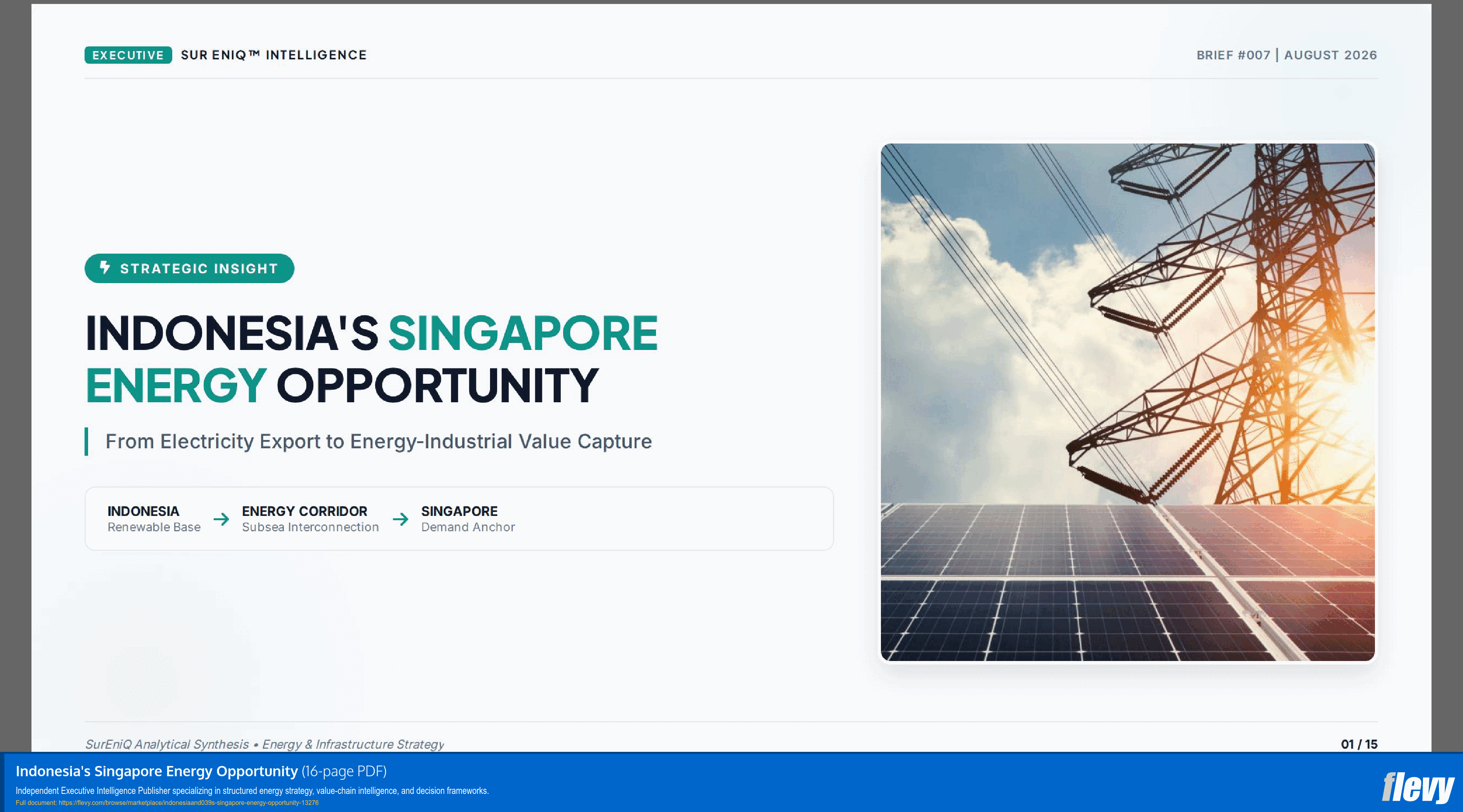 Indonesia's Singapore Energy Opportunity (16-page PDF document) Preview Image