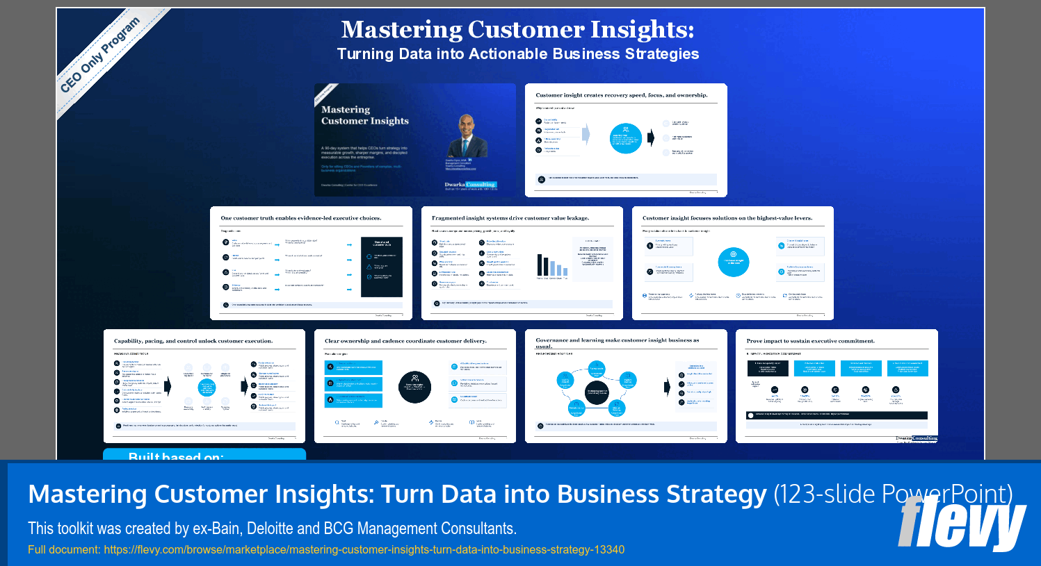 Mastering Customer Insights: Turn Data into Business Strategy (123-slide PPT PowerPoint presentation template (PPTX)) Preview Image