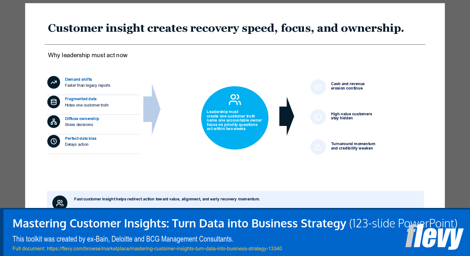 Mastering Customer Insights: Turn Data into Business Strategy (123-slide PPT PowerPoint presentation template (PPTX)) Preview Image