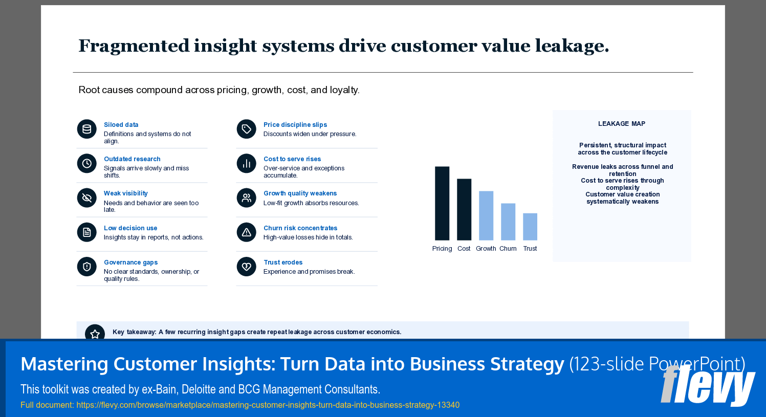 Mastering Customer Insights: Turn Data into Business Strategy (123-slide PPT PowerPoint presentation template (PPTX)) Preview Image