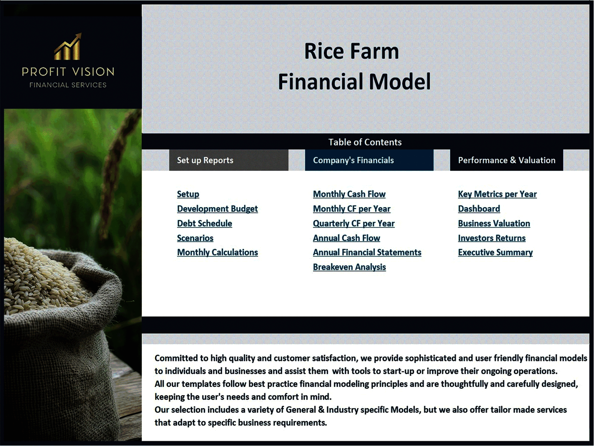 Rice Farm – 15 Year Financial Model (Excel template (XLSX)) Preview Image