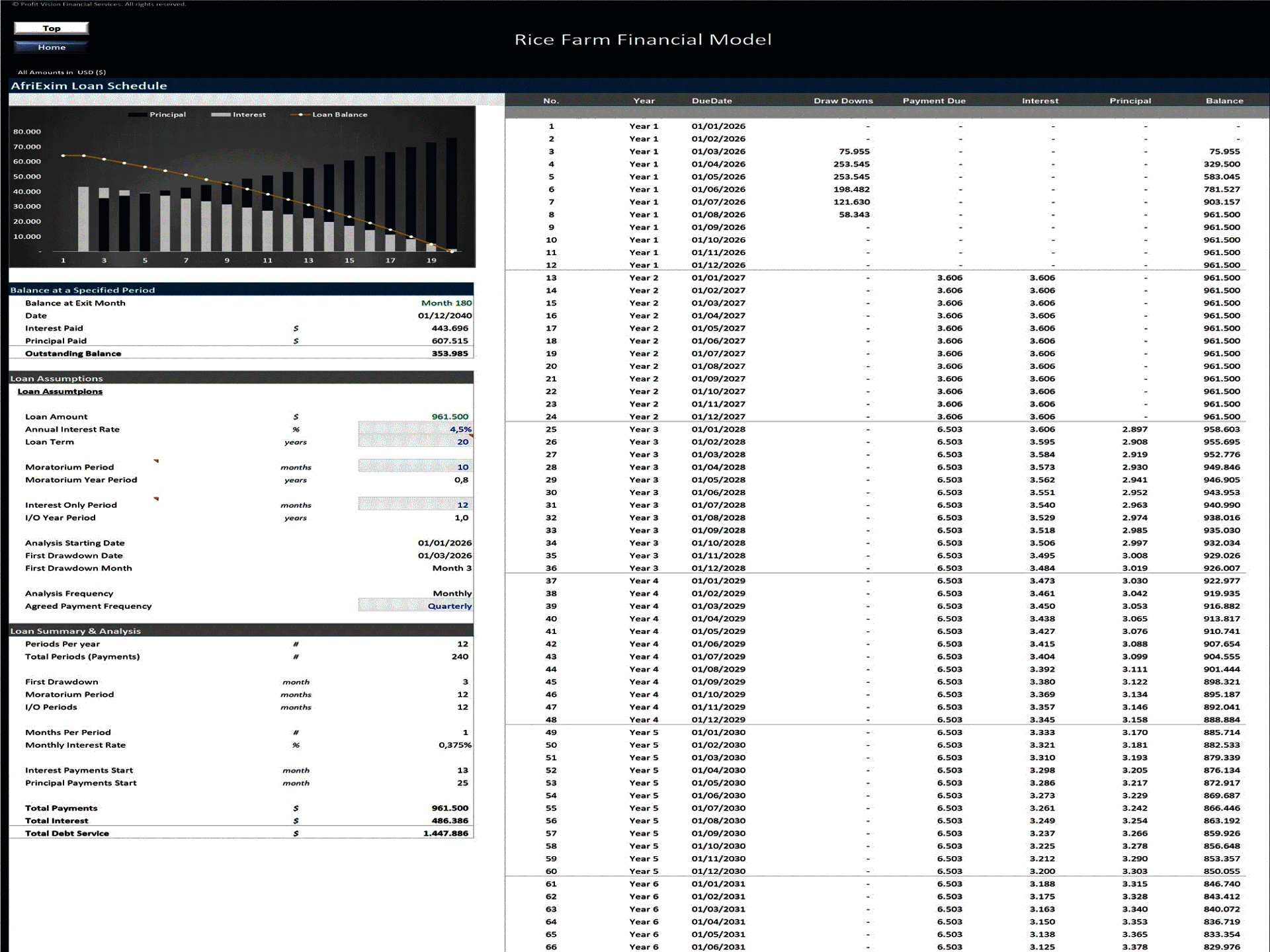 Rice Farm – 15 Year Financial Model (Excel template (XLSX)) Preview Image