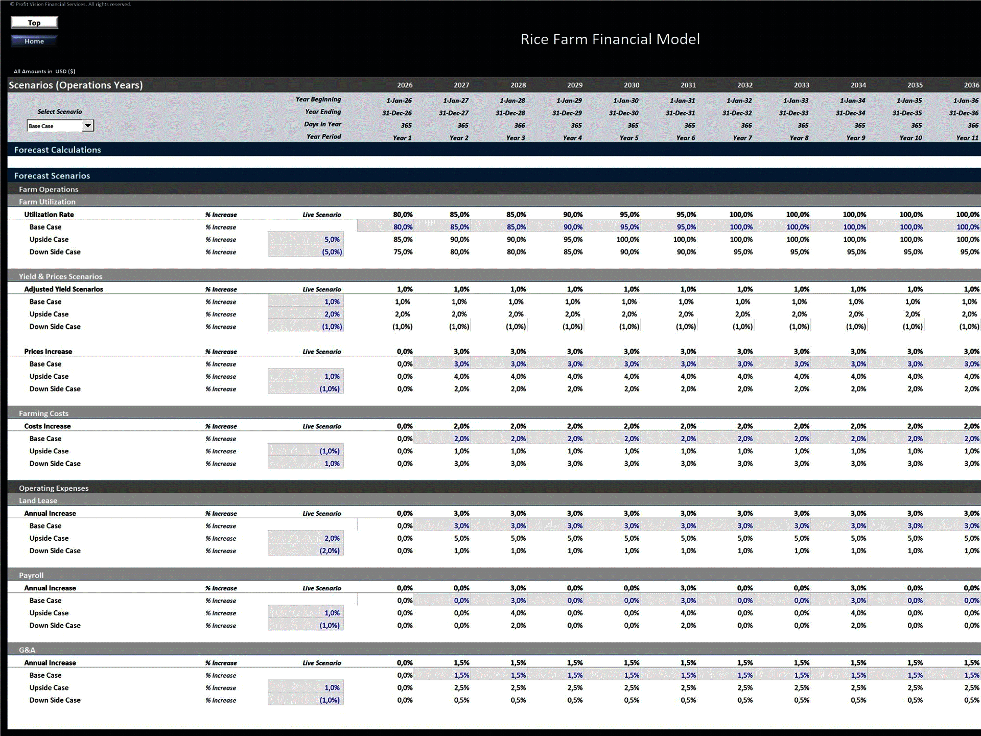 Rice Farm – 15 Year Financial Model (Excel template (XLSX)) Preview Image