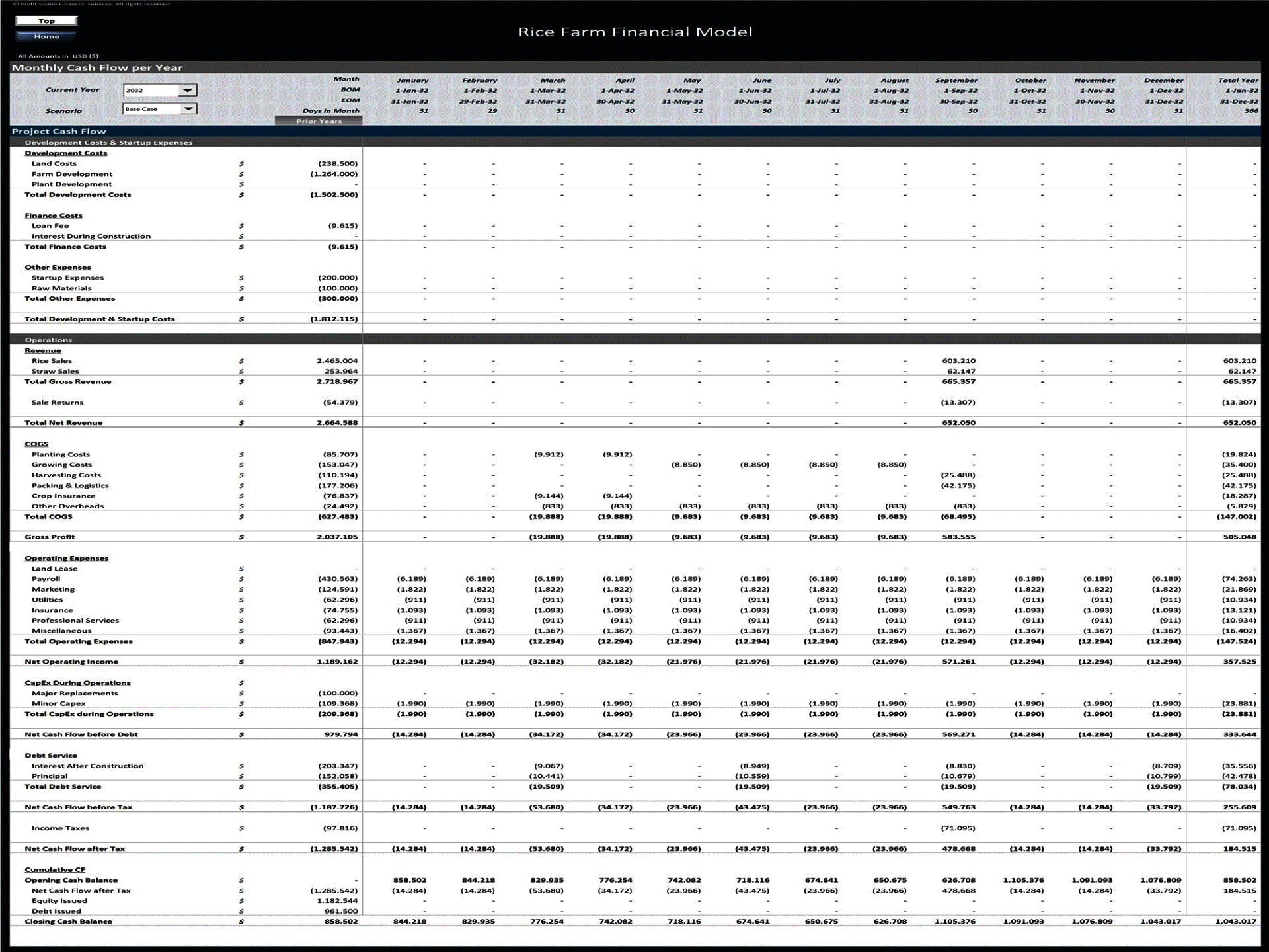 Rice Farm – 15 Year Financial Model (Excel template (XLSX)) Preview Image