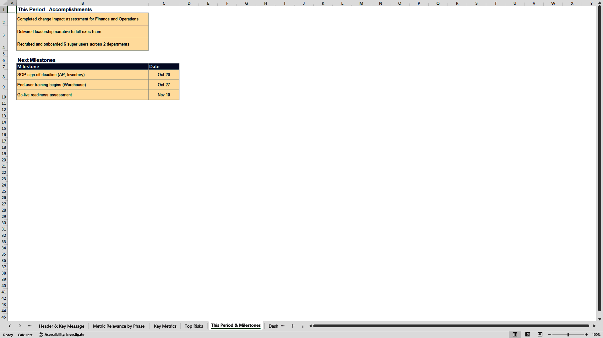 SAP OCM Executive Dashboard (Excel template (XLSX)) Preview Image