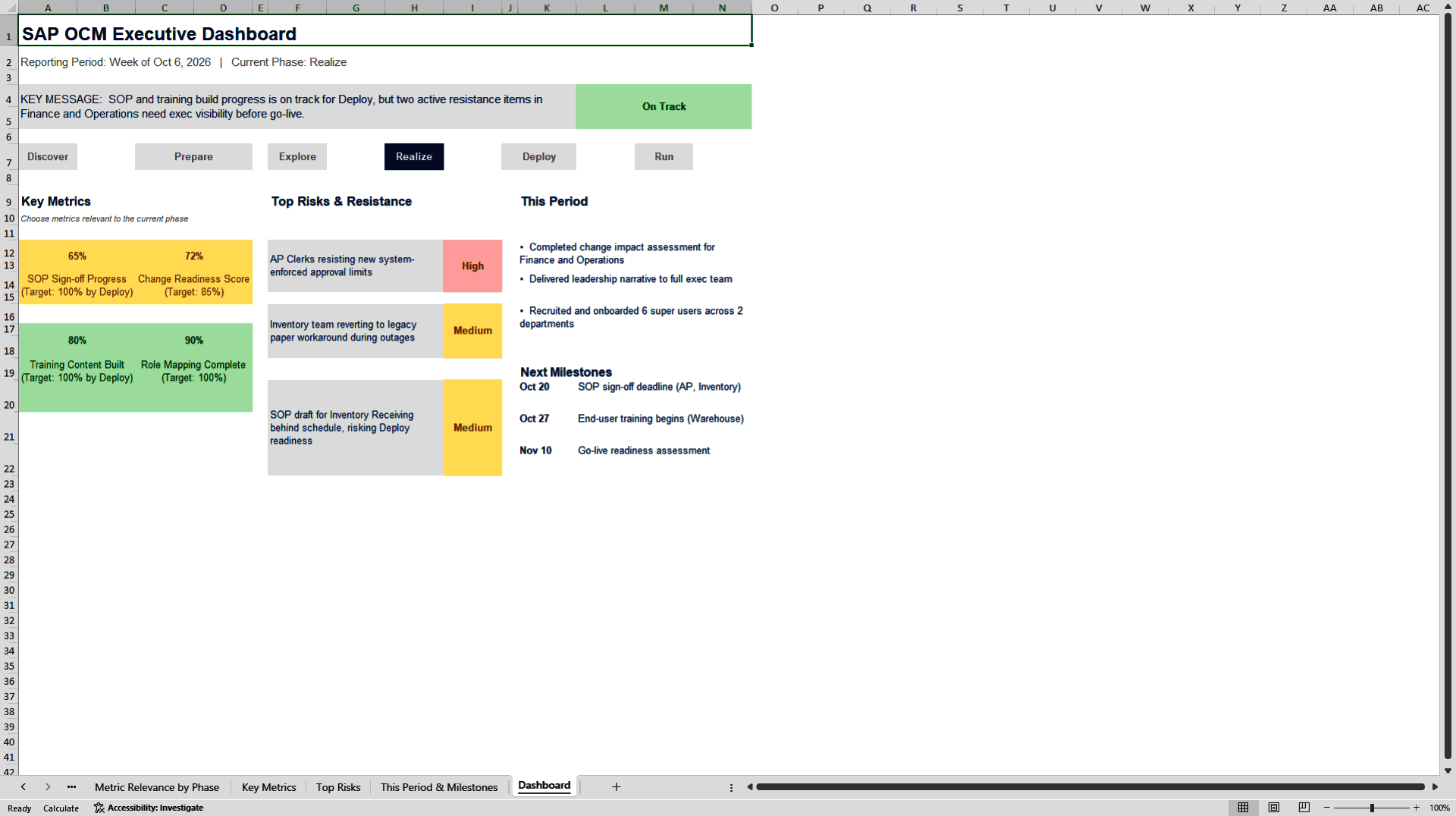 SAP OCM Executive Dashboard (Excel template (XLSX)) Preview Image