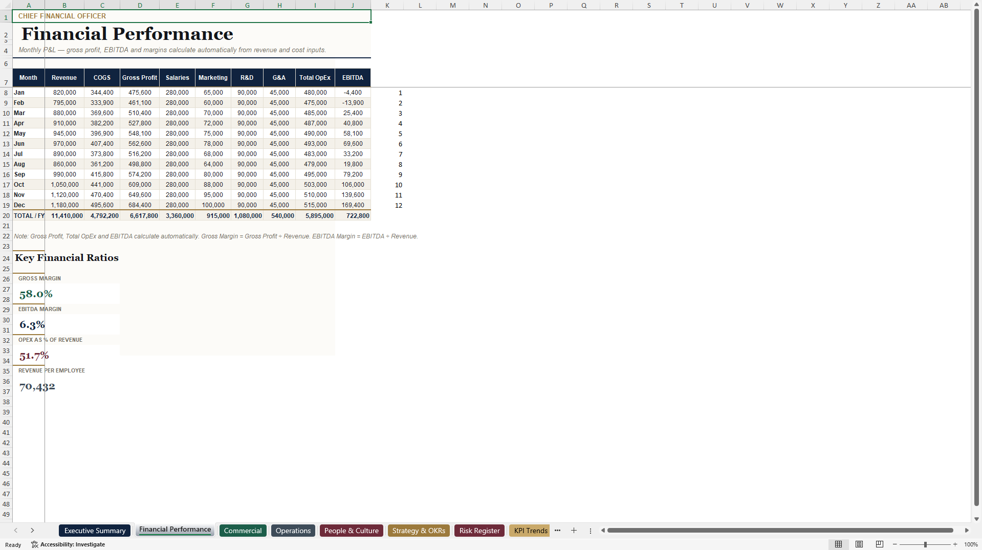 C-Suite Executive & Boardroom Performance Dashboard (Excel template (XLSX)) Preview Image