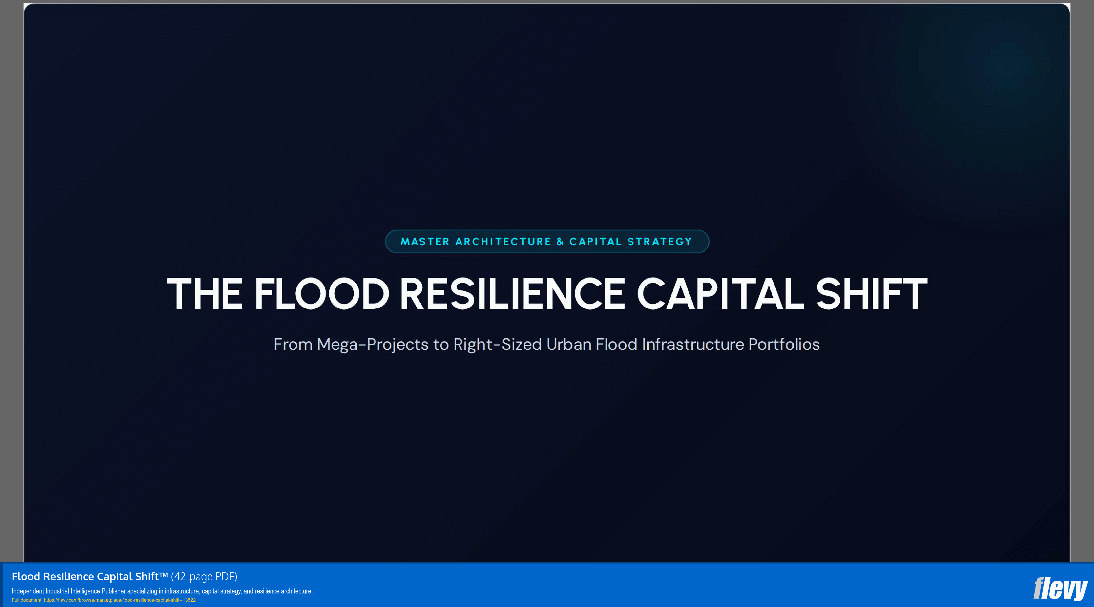 Flood Resilience Capital Shift™ (42-page PDF document) Preview Image