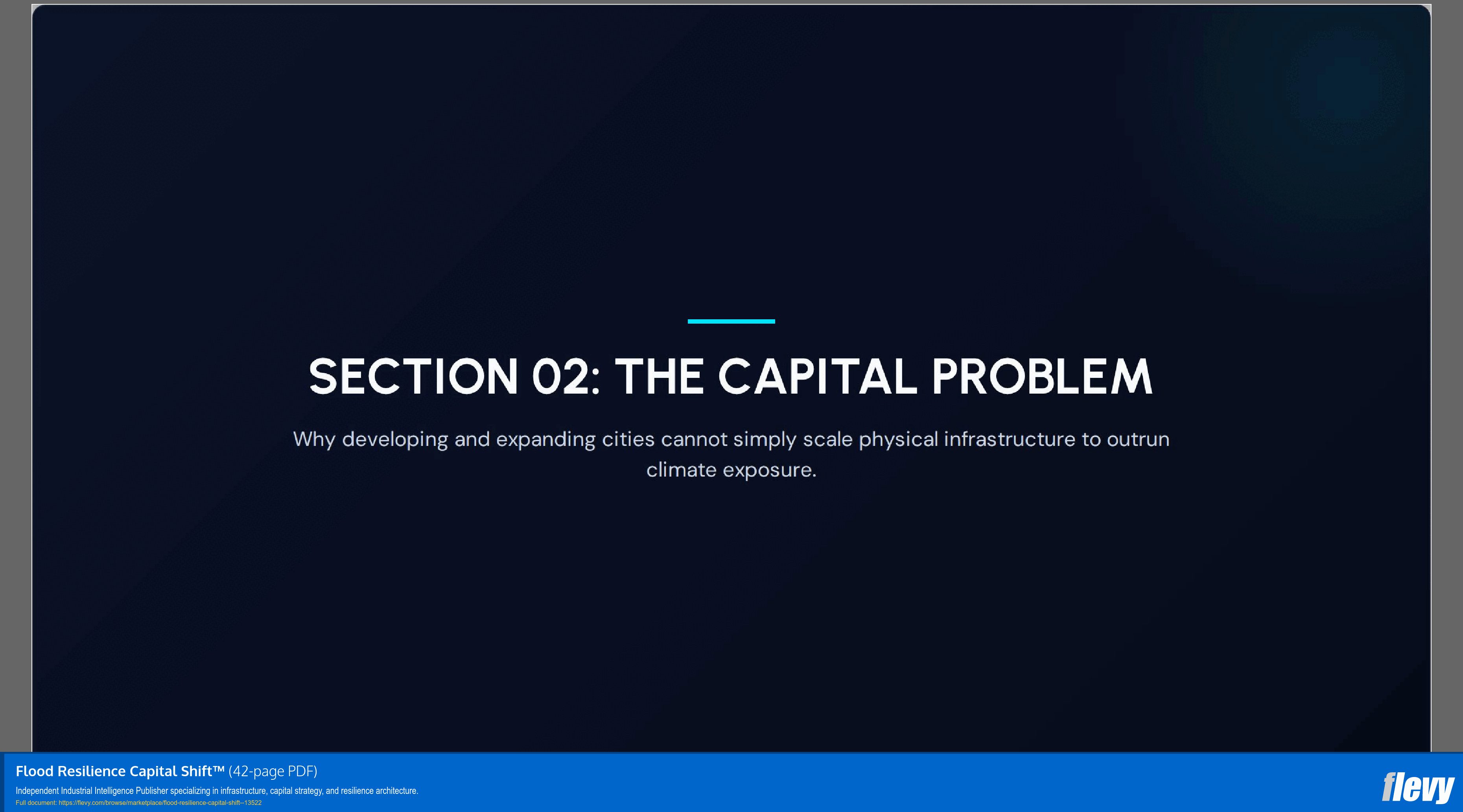 Flood Resilience Capital Shift™ (42-page PDF document) Preview Image