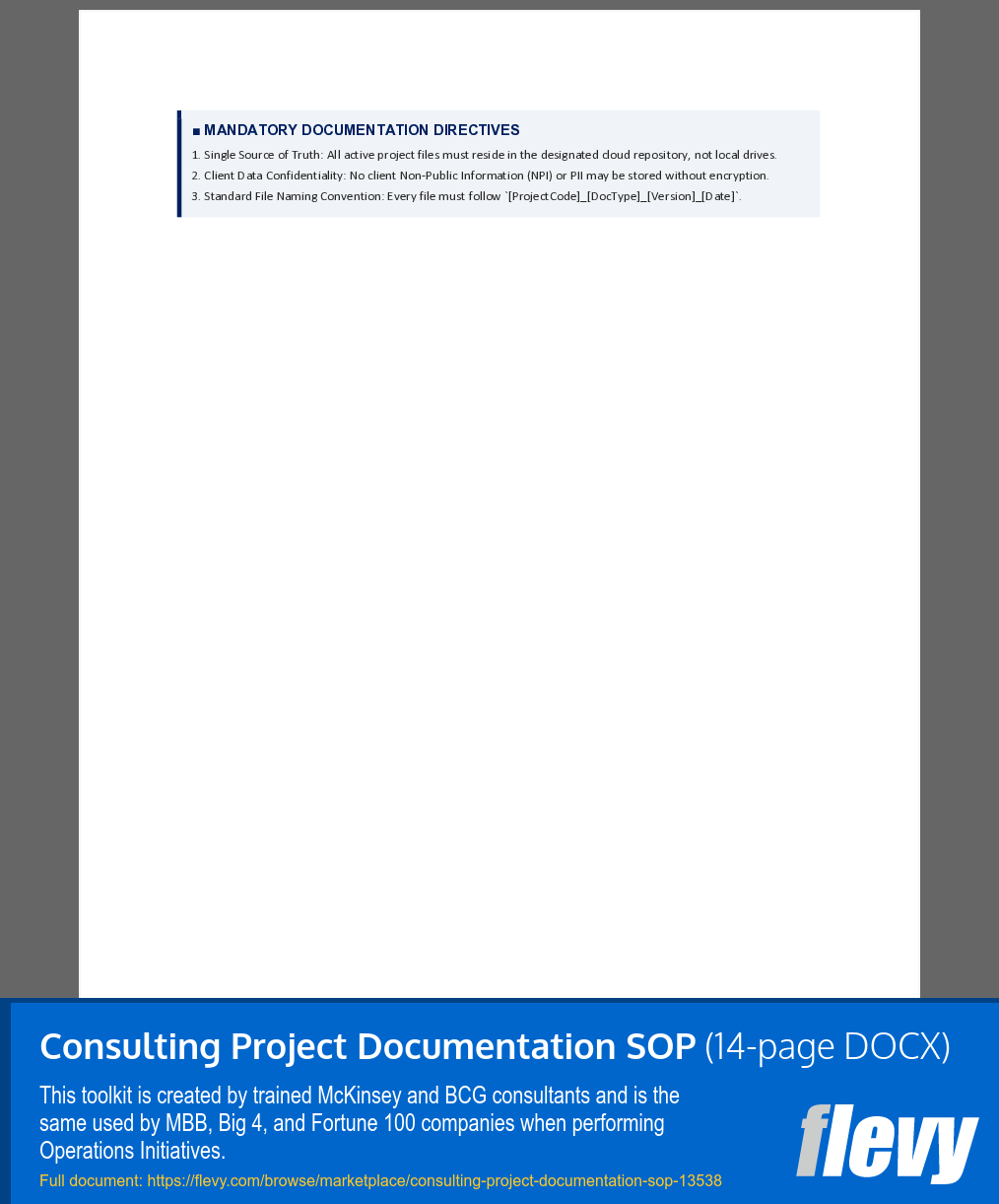 Consulting Project Documentation SOP (14-page Word document) Preview Image