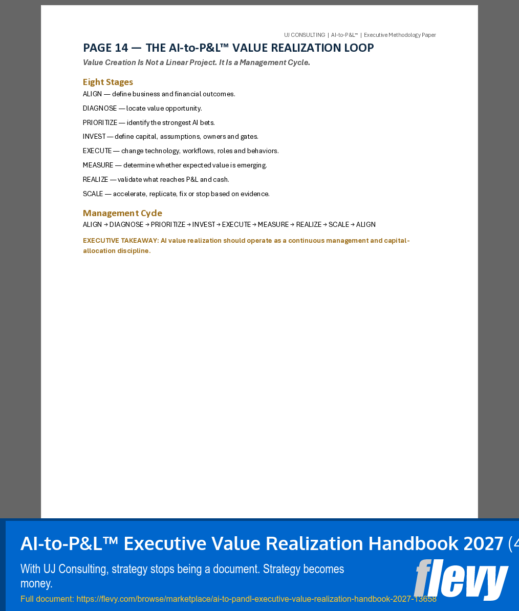 AI-to-P&L™ Executive Value Realization Handbook 2027 (41-page Word document) Preview Image