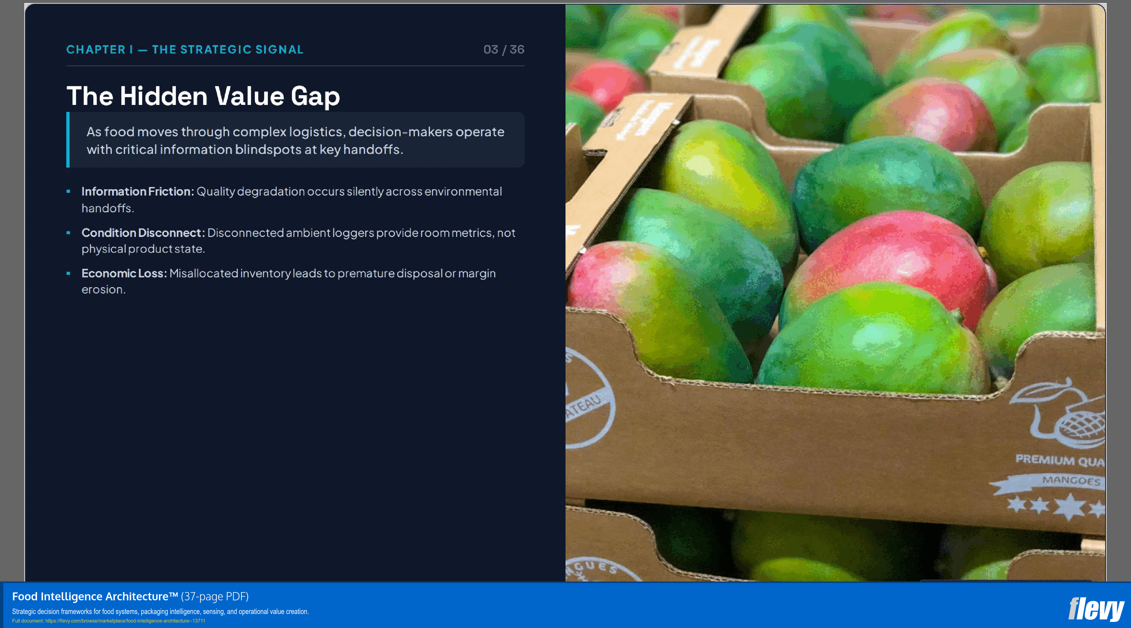 Food Intelligence Architecture™ (37-page PDF document) Preview Image
