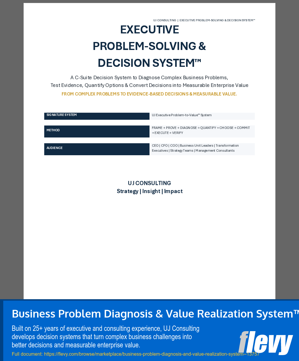 Business Problem Diagnosis & Value Realization System™ (211-page Word document) Preview Image