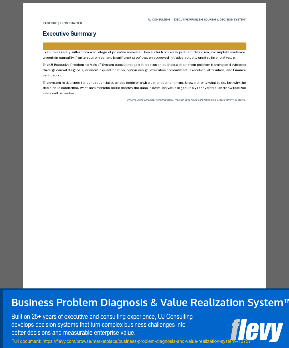 Business Problem Diagnosis & Value Realization System™ (211-page Word document) Preview Image