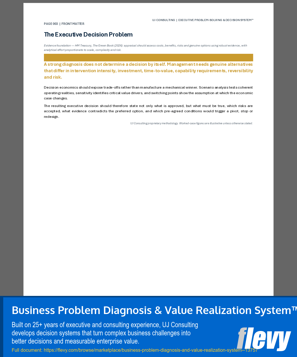 Business Problem Diagnosis & Value Realization System™ (211-page Word document) Preview Image