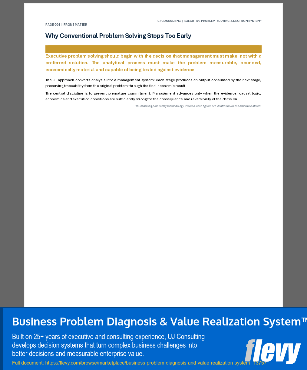 Business Problem Diagnosis & Value Realization System™ (211-page Word document) Preview Image