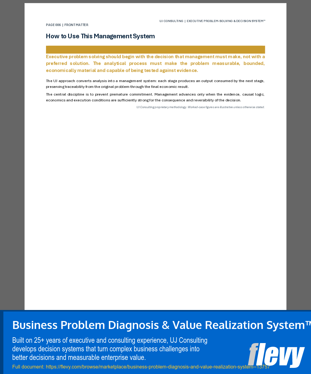 Business Problem Diagnosis & Value Realization System™ (211-page Word document) Preview Image