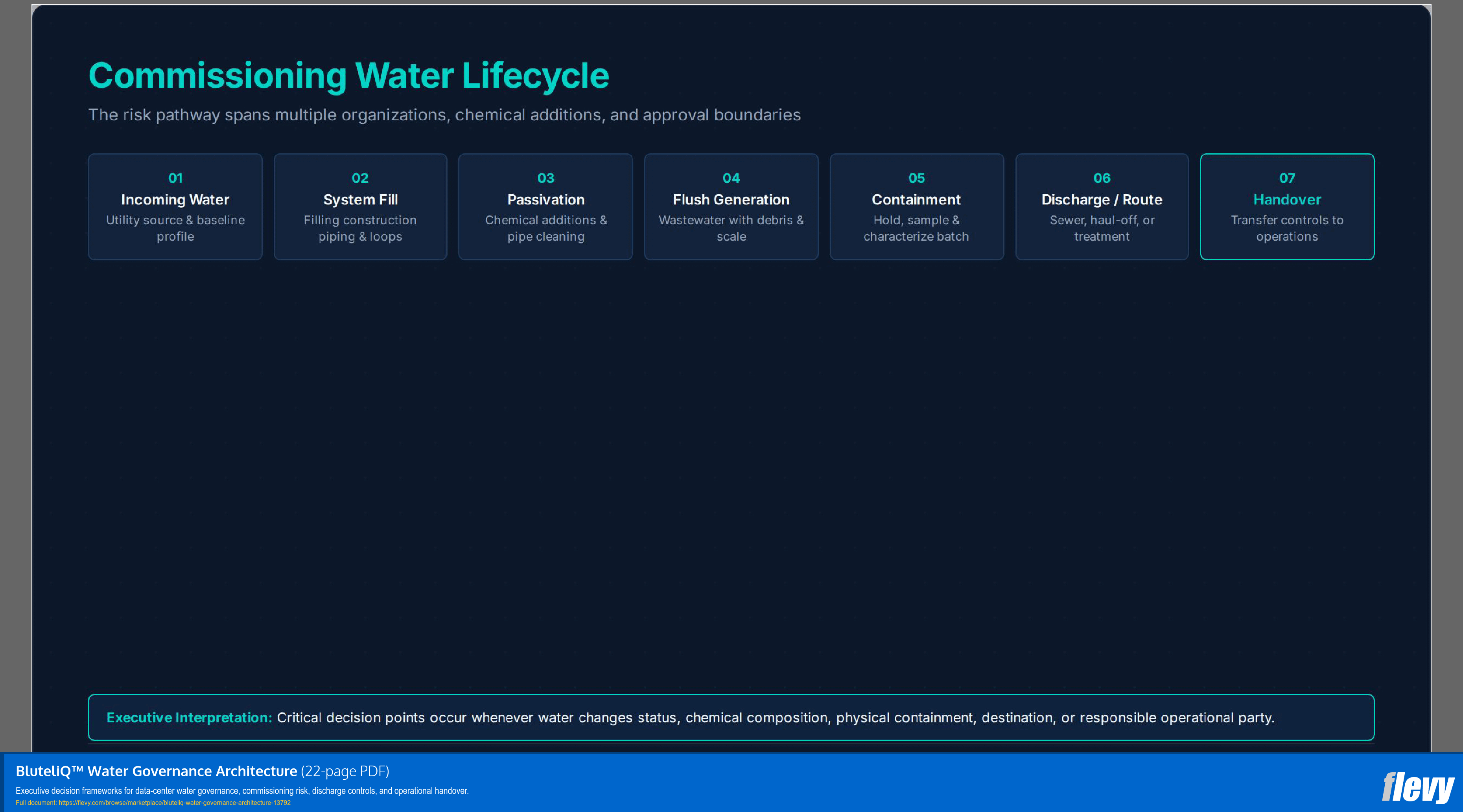 BluteliQ™ Water Governance Architecture (22-page PDF document) Preview Image