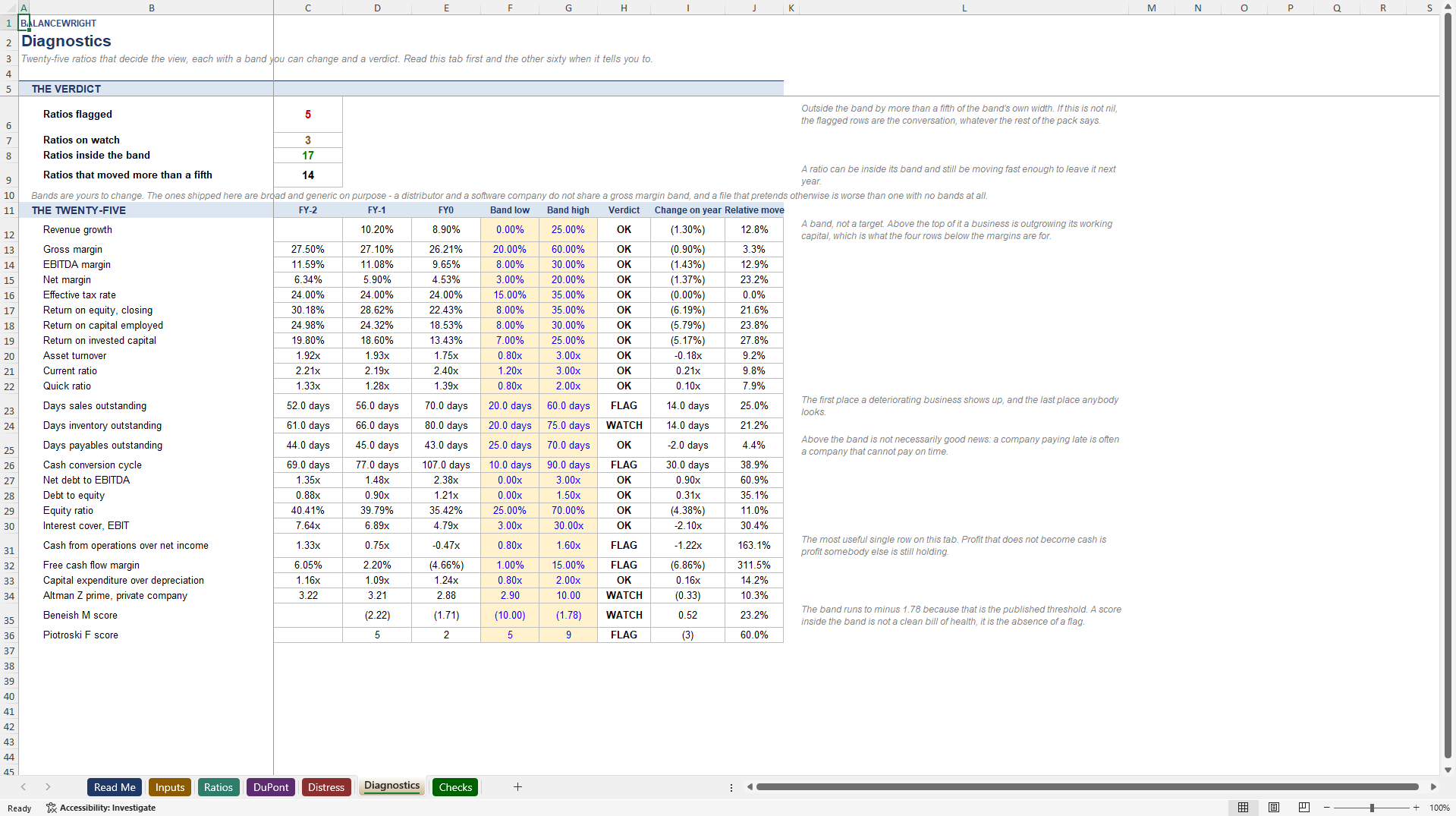 Financial Ratios & Diagnostics: 65 Ratios, Bands, Scores (Excel template (XLSX)) Preview Image