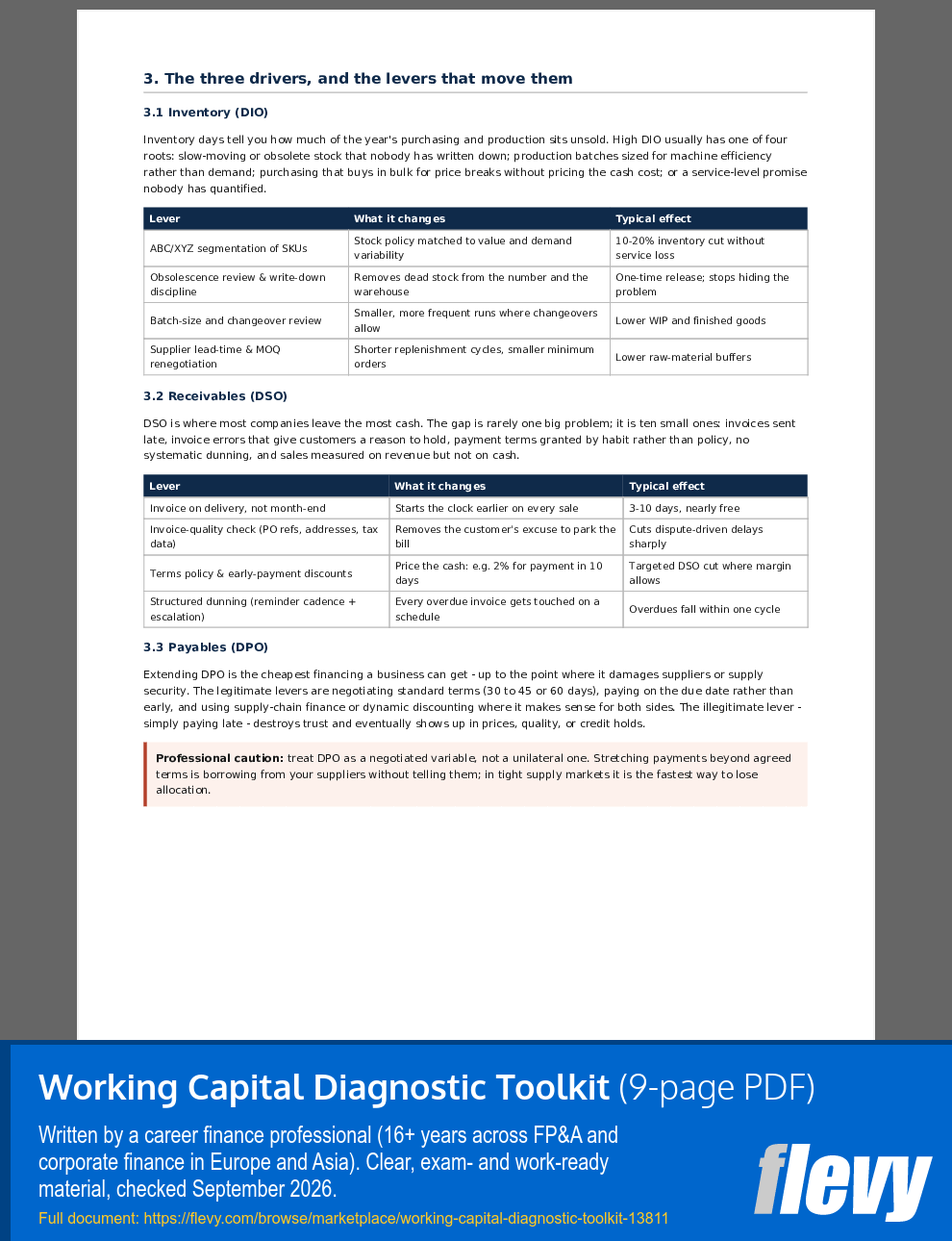 Working Capital Diagnostic Toolkit (9-page PDF document) Preview Image