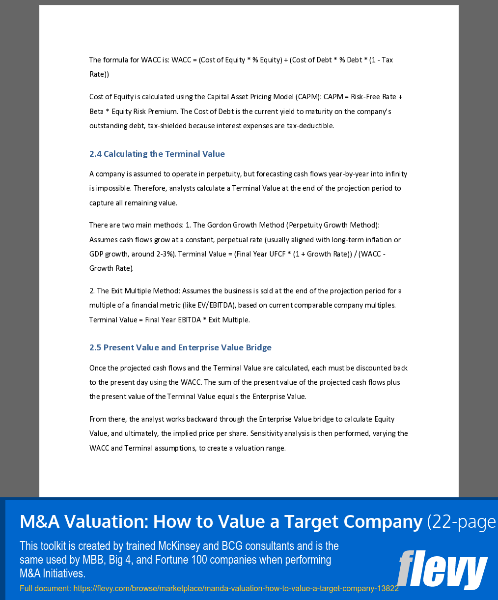 M&A Valuation: How to Value a Target Company (22-page Word document) Preview Image