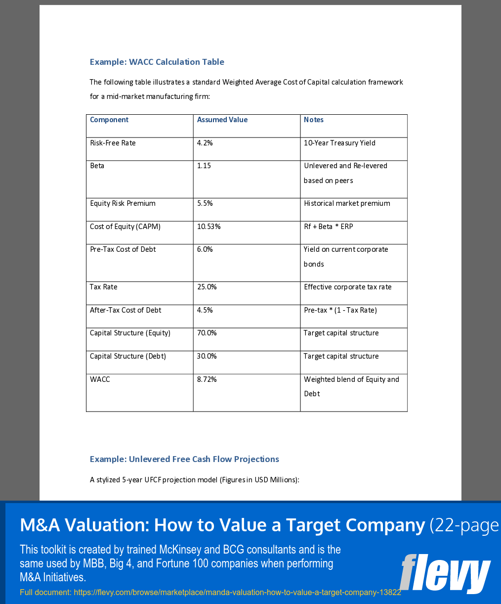 M&A Valuation: How to Value a Target Company (22-page Word document) Preview Image