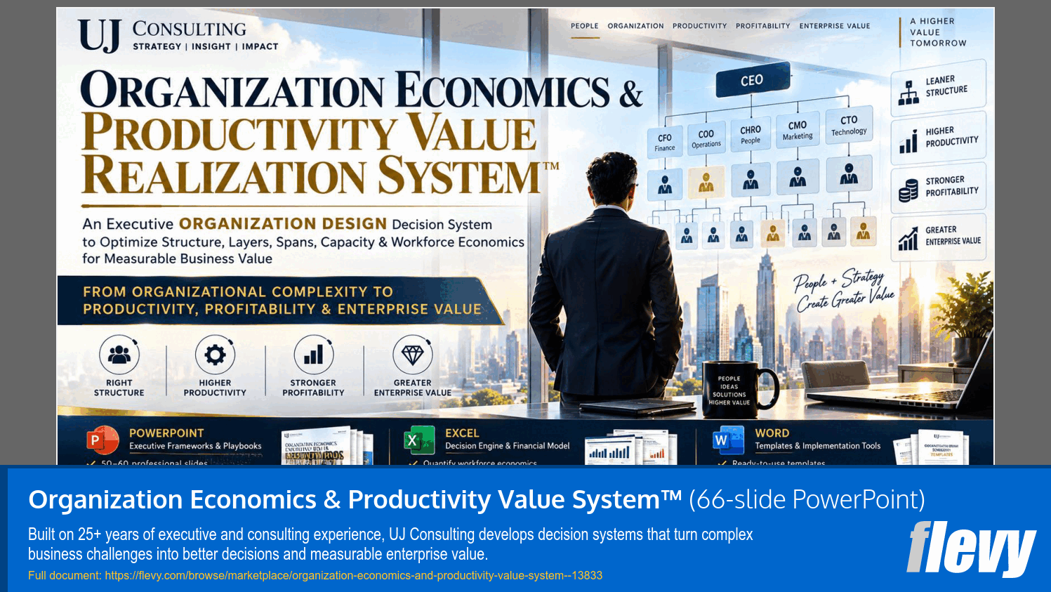 Organization Economics & Productivity Value System™ (66-slide PPT PowerPoint presentation template (PPTX)) Preview Image