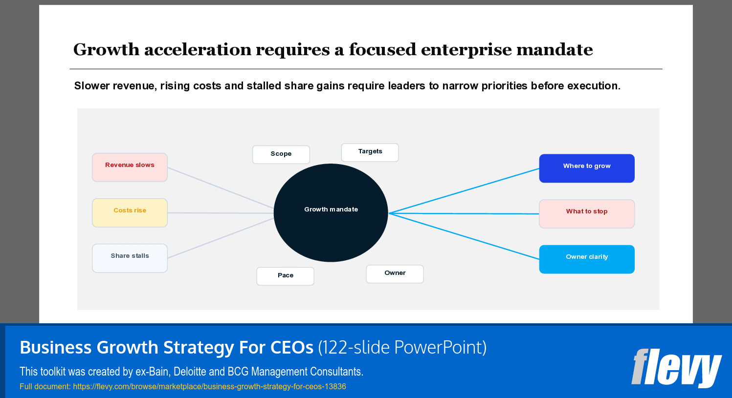 Business Growth Strategy For CEOs (122-slide PPT PowerPoint presentation template (PPTX)) Preview Image