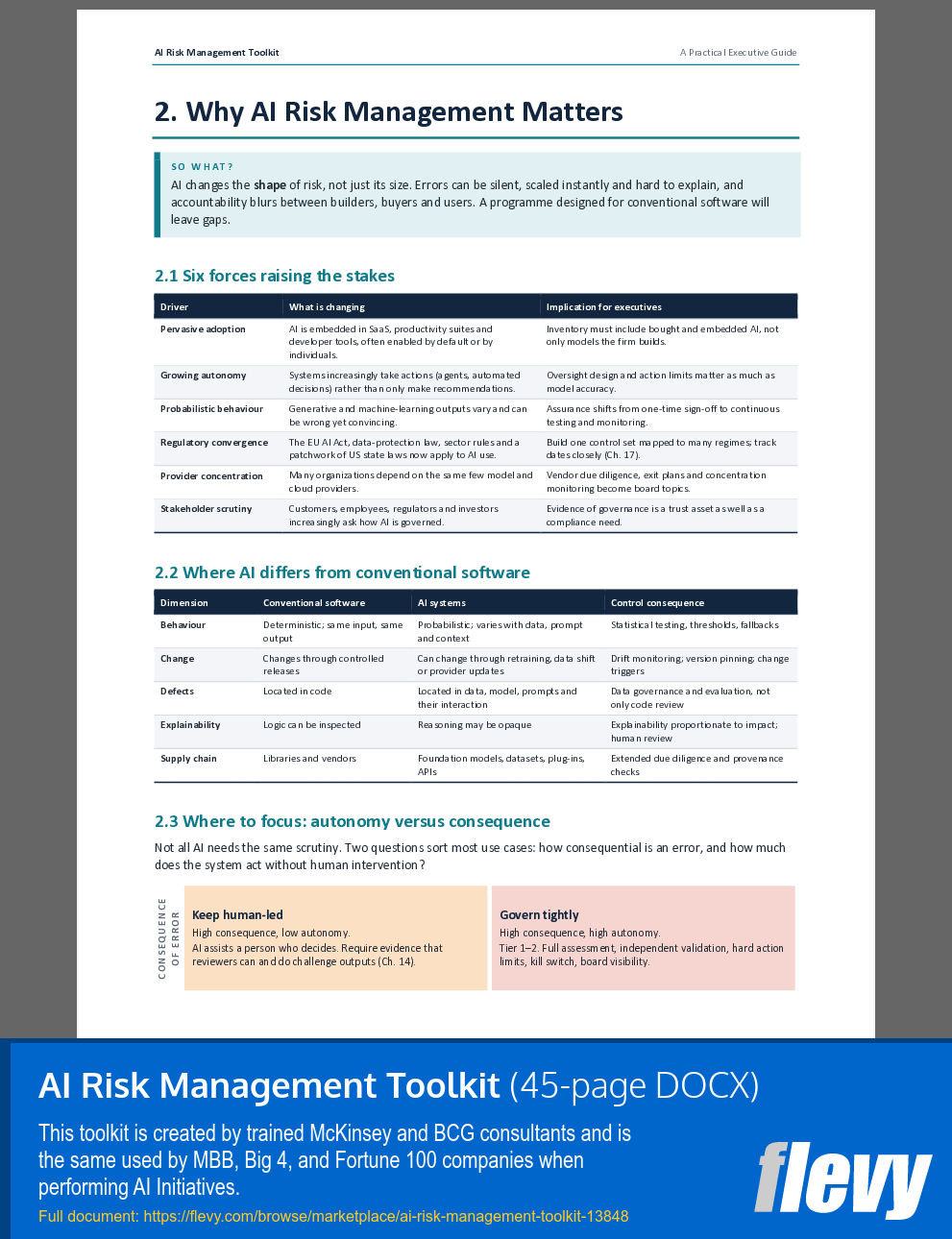 AI Risk Management Toolkit (45-page Word document) Preview Image