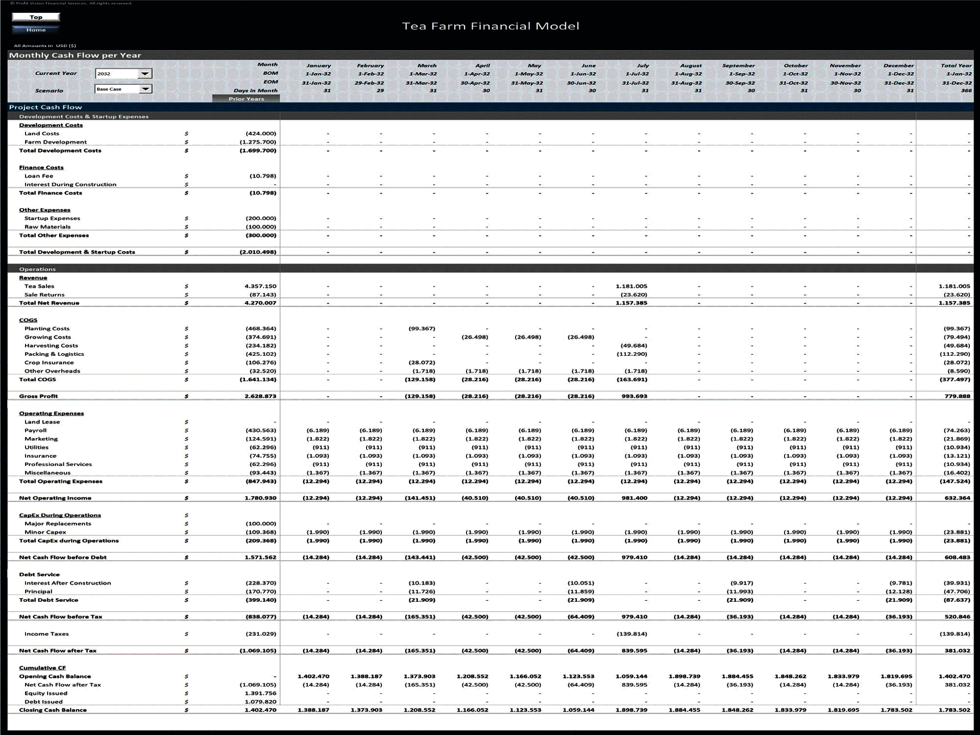 Tea Farm - 15 Year Financial Model (Excel template (XLSX)) Preview Image