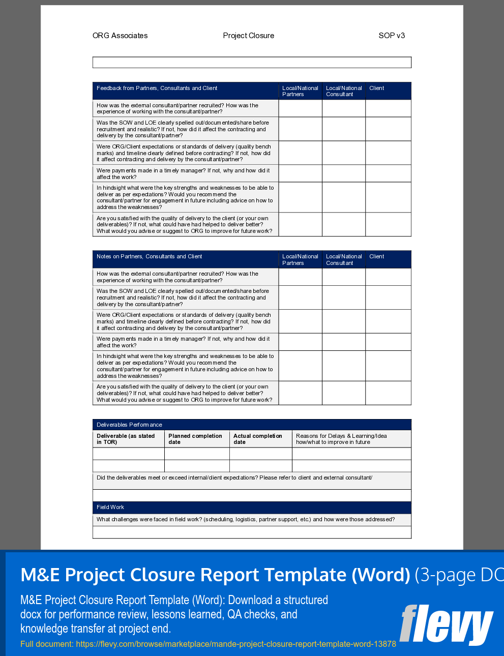 M&E Project Closure Report Template (3-page Word document) Preview Image