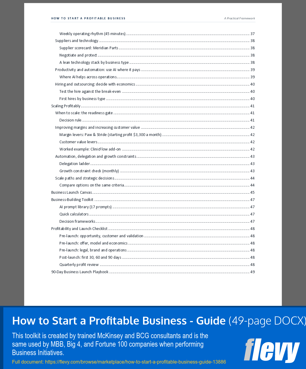 How to Start a Profitable Business - Guide (49-page Word document) Preview Image