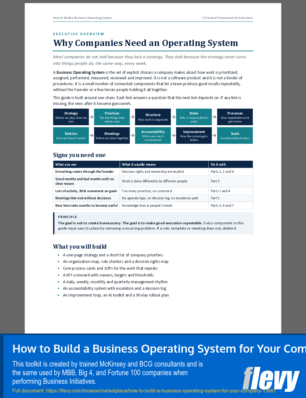 How to Build a Business Operating System for Your Company (45-page Word document) Preview Image