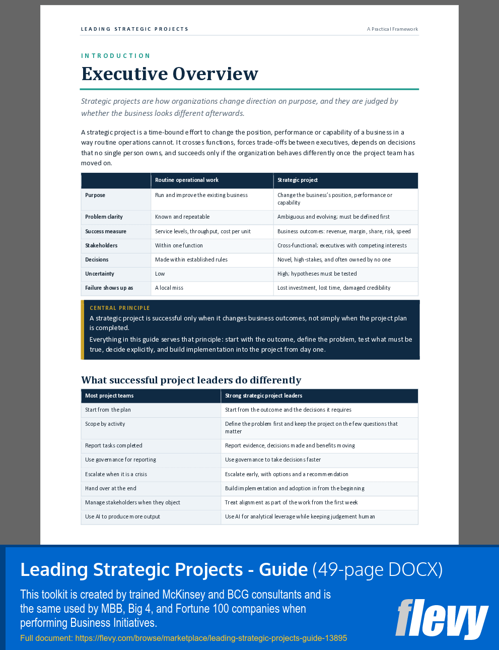 Leading Strategic Projects - Guide (49-page Word document) Preview Image