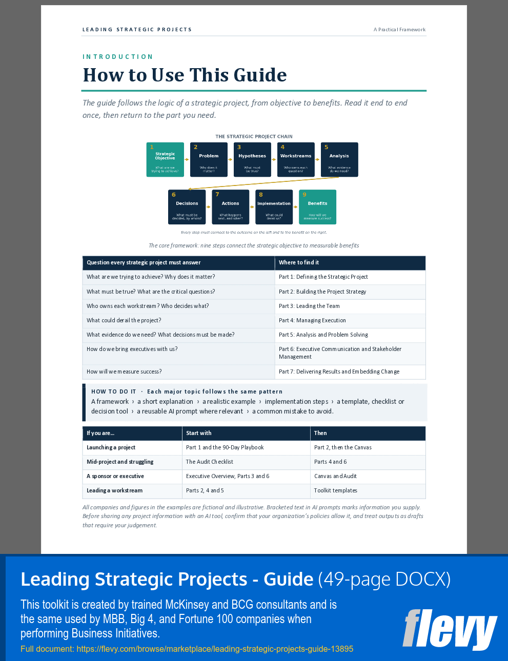 Leading Strategic Projects - Guide (49-page Word document) Preview Image