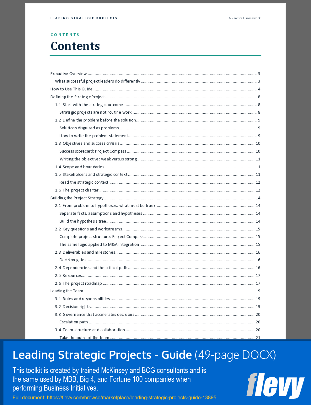 Leading Strategic Projects - Guide (49-page Word document) Preview Image
