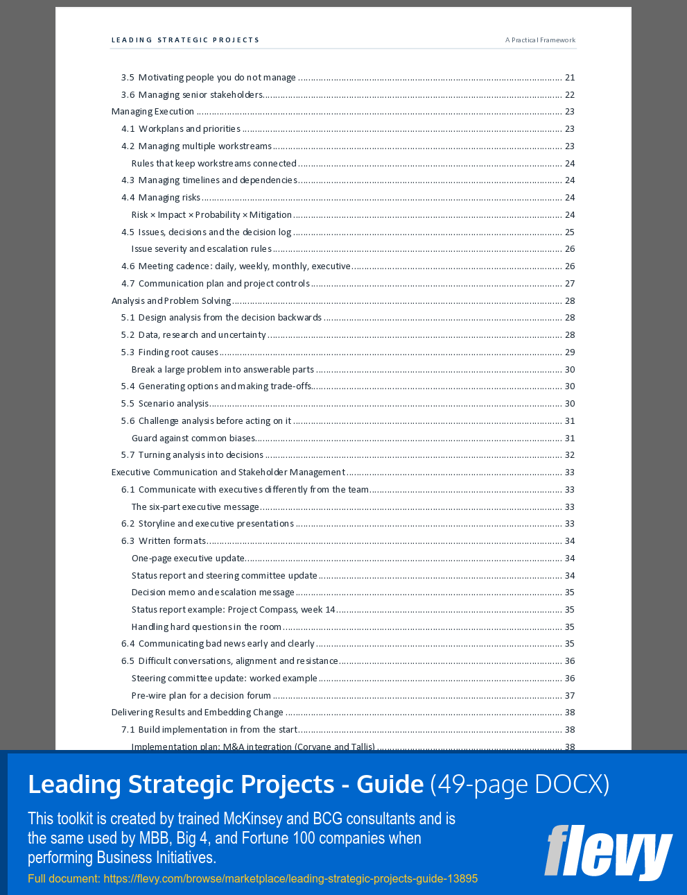 Leading Strategic Projects - Guide (49-page Word document) Preview Image