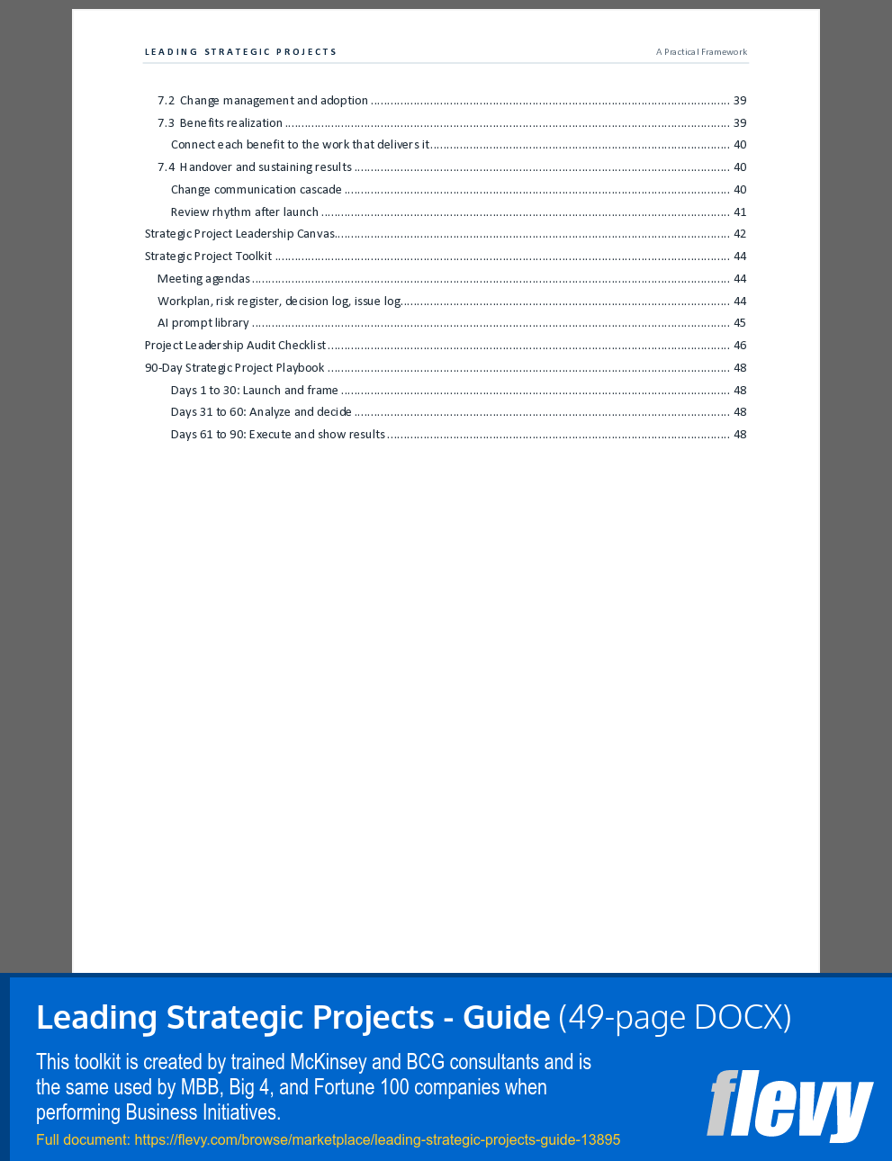 Leading Strategic Projects - Guide (49-page Word document) Preview Image