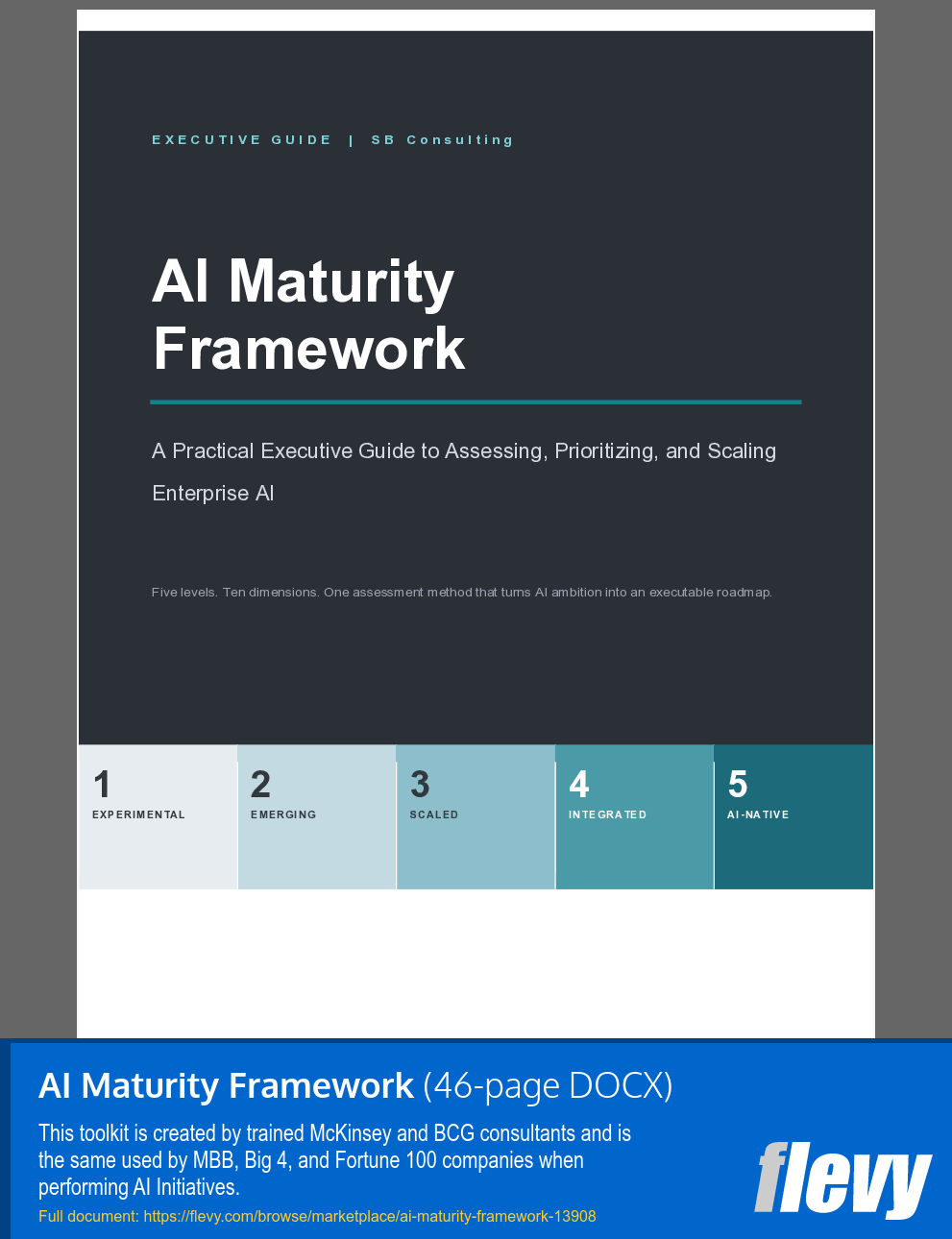 AI Maturity Framework (46-page Word document) Preview Image