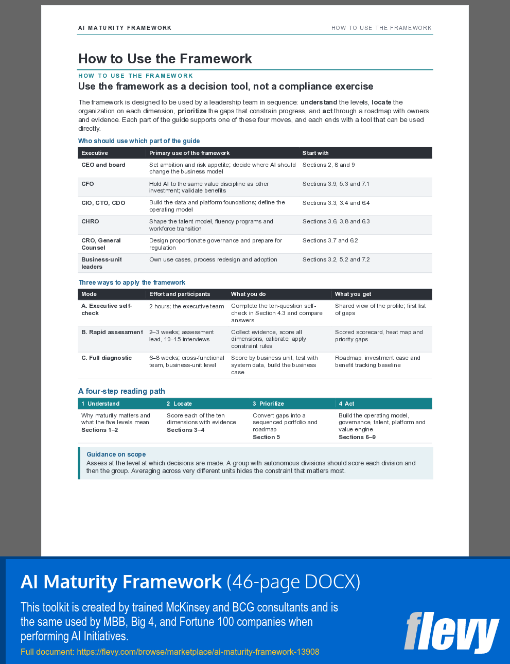 AI Maturity Framework (46-page Word document) Preview Image